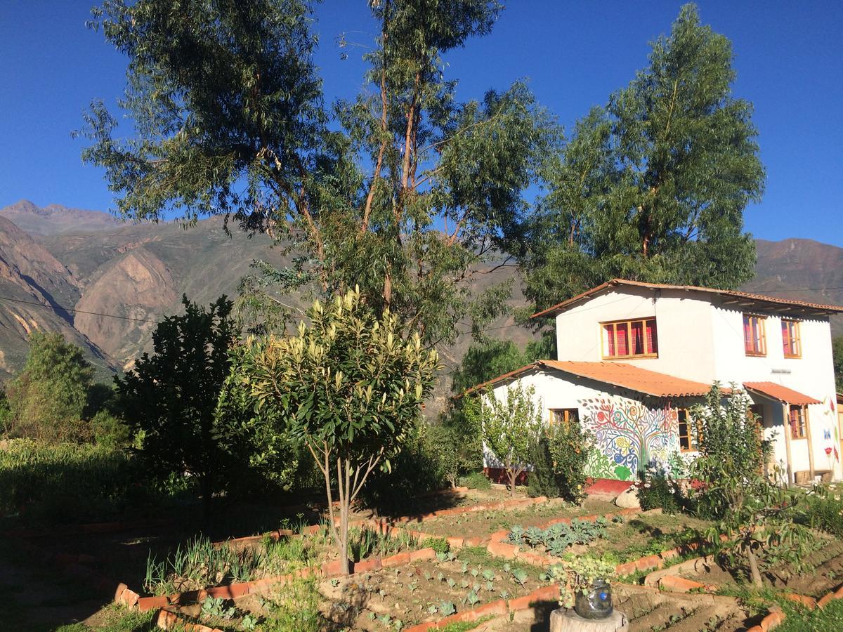 Apu Ecolodge Caraz Exterior foto